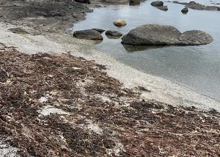 Small House Close To The And Sea * Stavanger